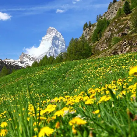Zur Matte B-1 By Interhome Apartmán Zermatt