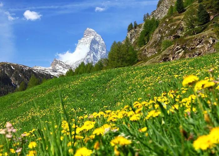 Wohnungsnr- 12 By Interhome Lejlighed Zermatt